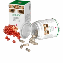Anti-Ox 30 Gélules
