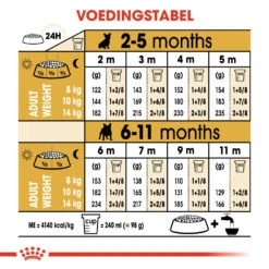 Chien Fournitures Boutique -Chien Fournitures Boutique 0e5959033ce1d3ee7b6dd4361622e92bc8fb3ec5a91bd18fff1d16c1716e8f7d 1