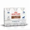 Royal Canin GI High Energy Liquid - 3 Flacons De 200ml