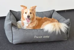 Flamingo Panier Dream Away Rectangulaire Fermeture Eclair Gris 90x70x35cm 11 Flamingo Panier Dream Away Rectangulaire Fermeture Eclair Gris 90x70x35cm -Chien Fournitures Boutique 1c1569e5e3e189c3266e2e6aa007c597f0e2b3dc6812c01616819327dbd8060d scaled