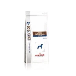 Royal Canin Gastro Intestinal Puppy Chien -Chien Fournitures Boutique 2021057f81646d34e3b010d54900eb0e0515a48b16324bcd167c9899ff88a88b
