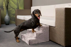Flamingo Marchepied Pour Chien Easy Step Gris 41x43x30cm 5 Flamingo Marchepied Pour Chien Easy Step Gris 41x43x30cm -Chien Fournitures Boutique 2782a8d4608af288444322c7857b821f7acc95045de28fc0c302de71b2939c29