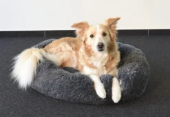 Flamingo Panier Krems Rond Gris 70cm -Chien Fournitures Boutique 2b35af8c6265e8517b23a60a9a122e1b2f4b50f5a9c25a7daa9e2d5118cff5a5 scaled