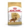 Royal Canin Cocker Adult Our Chien 3kg