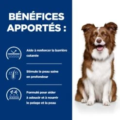 Hill's Prescription Diet Derm Defense Croquettes Pour Chien Au Poulet -Chien Fournitures Boutique 52742008905 4 prescription diet chien derm defense croquettes poulet 1