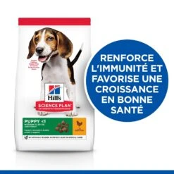 Hill's Science Plan Puppy Croquettes Et Boîtes Pour Chiot Medium Au Poulet 10 Hill's Science Plan Puppy Croquettes Et Boîtes Pour Chiot Medium Au Poulet -Chien Fournitures Boutique 52742025728 2 science plan chiot medium croquettes poulet.jpg