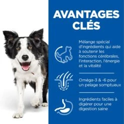 Hill's Science Plan Senior Vitality Croquettes Pour Chien âgé Au Poulet 14Kg -Chien Fournitures Boutique 52742026107 3 science plan senior vitality chien medium croquettes poulet