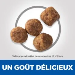 Hill's Science Plan Mature Adult Light Croquettes Pour Chien Sénior Medium Au Poulet - 14Kg -Chien Fournitures Boutique 52742026169 5 science plan light chien g medium croquettes poulet