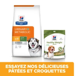 Hill's Prescription Diet C/d Multicare + Metabolic Croquettes Pour Chien 12 Hill's Prescription Diet C/d Multicare + Metabolic Croquettes Pour Chien -Chien Fournitures Boutique 52742037394 3 prescription diet chien c d multicare metabolic croquettes 1