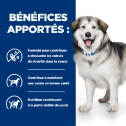 Hill's Prescription Diet C/d Multicare + Metabolic Croquettes Pour Chien 13 Hill's Prescription Diet C/d Multicare + Metabolic Croquettes Pour Chien -Chien Fournitures Boutique 52742037394 4 prescription diet chien c d multicare metabolic croquettes