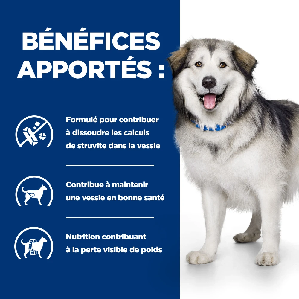 Hill's Prescription Diet C/d Multicare + Metabolic Croquettes Pour Chien 5 Hill's Prescription Diet C/d Multicare + Metabolic Croquettes Pour Chien – Image 5
