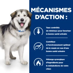 Hill's Prescription Diet C/d Multicare + Metabolic Croquettes Pour Chien 14 Hill's Prescription Diet C/d Multicare + Metabolic Croquettes Pour Chien -Chien Fournitures Boutique 52742037394 5 prescription diet chien c d multicare metabolic croquettes