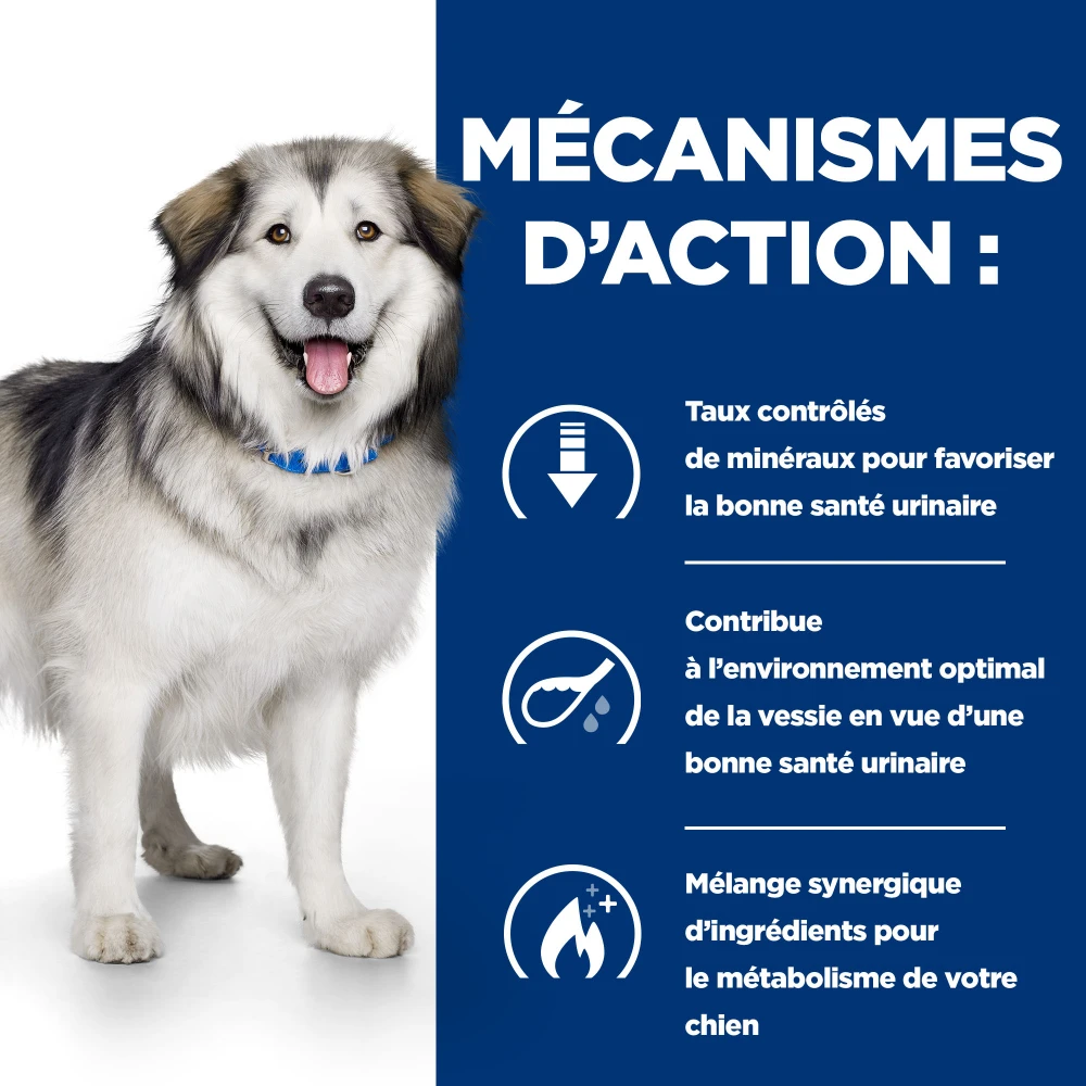 Hill's Prescription Diet C/d Multicare + Metabolic Croquettes Pour Chien 6 Hill's Prescription Diet C/d Multicare + Metabolic Croquettes Pour Chien – Image 6