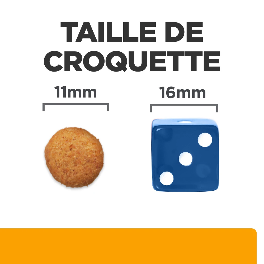 Hill's Prescription Diet C/d Multicare + Metabolic Croquettes Pour Chien 7 Hill's Prescription Diet C/d Multicare + Metabolic Croquettes Pour Chien – Image 7
