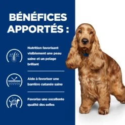 Hill's Prescription Diet Z/D AB+ Pour Chien Au Poulet -Chien Fournitures Boutique 52742040455 4 prescription diet chien z d croquettes