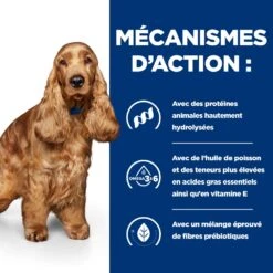 Hill's Prescription Diet Z/D AB+ Pour Chien Au Poulet -Chien Fournitures Boutique 52742040455 5 prescription diet chien z d croquettes