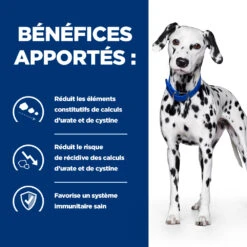 Hill's Prescription Diet U/D Croquettes Pour Chien Au Poulet 11 Hill's Prescription Diet U/D Croquettes Pour Chien Au Poulet -Chien Fournitures Boutique 52742041711 3 prescription diet chien u d croquettes poulet