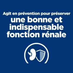 Hill's Prescription Diet K/D Early Stage Croquettes Pour Chien Au Poulet -Chien Fournitures Boutique 52742042374 2 prescription diet chien k d early stage croquettes poulet