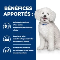 Hill's Prescription Diet K/D Early Stage Croquettes Pour Chien Au Poulet -Chien Fournitures Boutique 52742042374 4 prescription diet chien k d early stage croquettes poulet