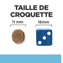 Hill's Prescription Diet K/D Early Stage Croquettes Pour Chien Au Poulet -Chien Fournitures Boutique 52742042374 6 prescription diet chien k d early stage croquettes poulet