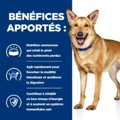 Hill's Prescription Diet I/D AB+ Pour Chien Au Poulet 11 Hill's Prescription Diet I/D AB+ Pour Chien Au Poulet -Chien Fournitures Boutique 52742043166 4 prescription diet chien i d croquettes