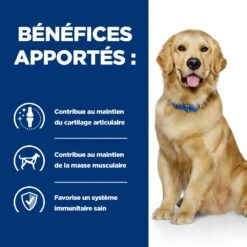 Hill's Prescription Diet J/D Mobility Croquettes Pour Chien Au Poulet -Chien Fournitures Boutique 52742045740 4 prescription diet chien j d croquettes poulet