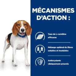 Hill's Prescription Diet R/D Croquettes Pour Chien Au Poulet 12 Hill's Prescription Diet R/D Croquettes Pour Chien Au Poulet -Chien Fournitures Boutique 52742047256 4 prescription diet chien r d croquettes poulet