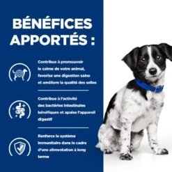 Hill's Prescription Diet I/D Stress Digestive Mini Pour Petit Chien Au Poulet -Chien Fournitures Boutique 52742048123 4 prescription diet chien i d stress mini croquettes