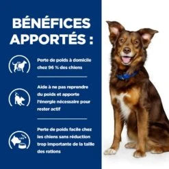 Hill's Prescription Diet Metabolic Pour Chien -Chien Fournitures Boutique 52742209906 4 prescription diet chien metabolic croquettes poulet