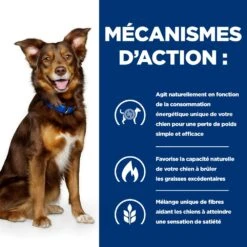 Hill's Prescription Diet Metabolic Pour Chien -Chien Fournitures Boutique 52742209906 5 prescription diet chien metabolic croquettes poulet