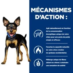 Hill's Prescription Diet Metabolic Croquettes Pour Petit Chien Au Poulet -Chien Fournitures Boutique 52742335414 5 prescription diet chien metabolic mini croquettes poulet