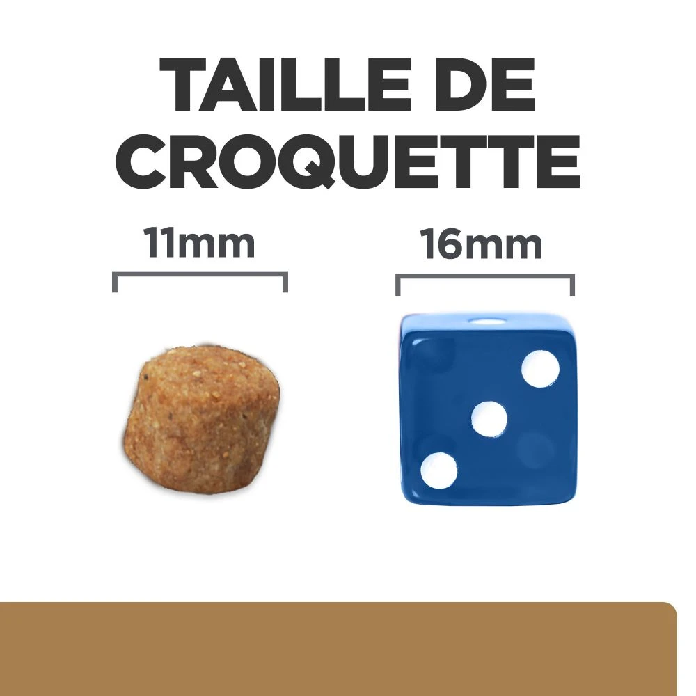 Hill's Prescription Diet J/D Reduced Calorie Croquettes Pour Chien Au Poulet 6 Hill's Prescription Diet J/D Reduced Calorie Croquettes Pour Chien Au Poulet – Image 6