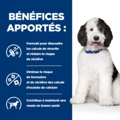 Hill's Prescription Diet C/D Urinary Multicare Croquettes Pour Chien Au Poulet 13 Hill's Prescription Diet C/D Urinary Multicare Croquettes Pour Chien Au Poulet -Chien Fournitures Boutique 52742917603 4 prescription diet chien c d multicare croquettes poulet