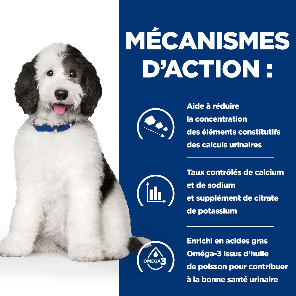 Hill's Prescription Diet C/D Urinary Multicare Croquettes Pour Chien Au Poulet 7 Hill's Prescription Diet C/D Urinary Multicare Croquettes Pour Chien Au Poulet – Image 7