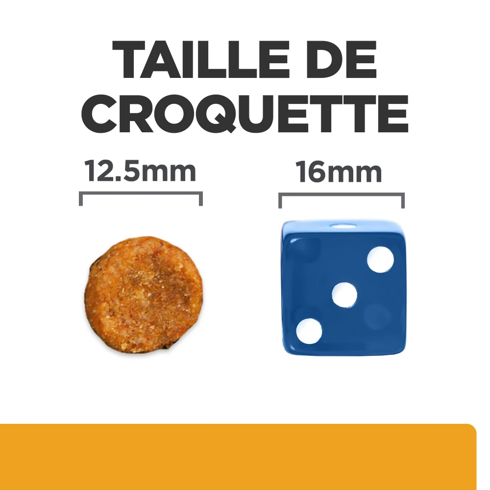 Hill's Prescription Diet C/D Urinary Multicare Croquettes Pour Chien Au Poulet 3 Hill's Prescription Diet C/D Urinary Multicare Croquettes Pour Chien Au Poulet – Image 3