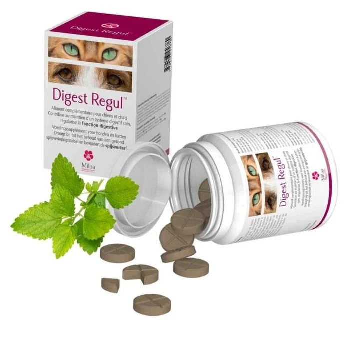 DIGEST REGUL MILOA 30 COMPRIMÉS 1 DIGEST REGUL MILOA 30 COMPRIMÉS