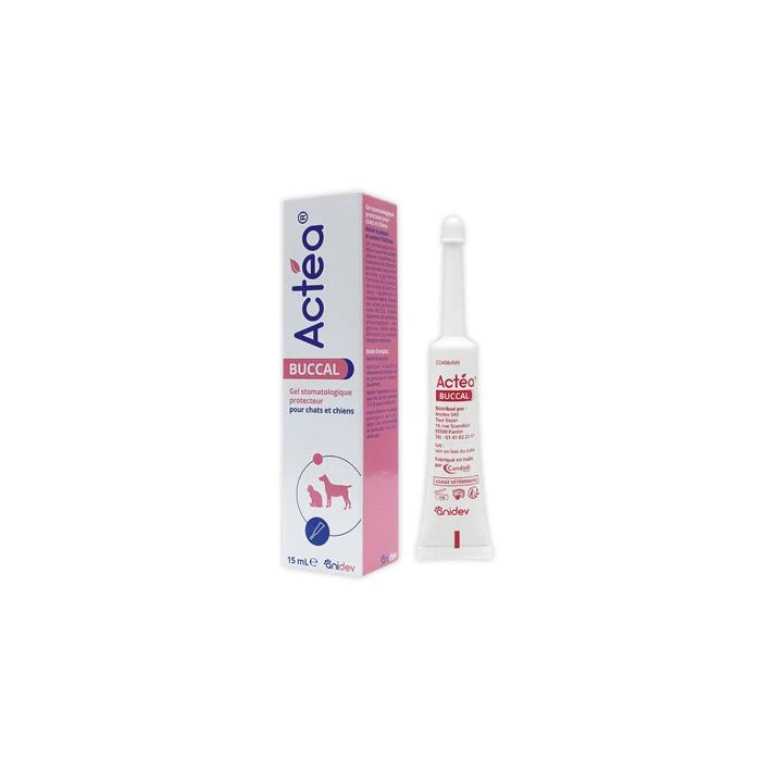 Actea Buccal 15 Ml 1 Actea Buccal 15 Ml
