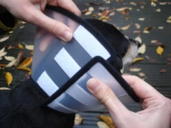 Flamingo Carcan Capo 38,5cm -Chien Fournitures Boutique 6a49ce8ac076c3841c6f50f7e51b24655faca046434a3c86371644c1769f8e05