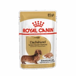 Royal Canin Teckel Adult Pour Chien 12 X 85g