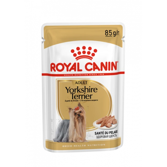 Royal Canin Yorkshire Adult Pour Chien 12 X 85g 1 Royal Canin Yorkshire Adult Pour Chien 12 X 85g