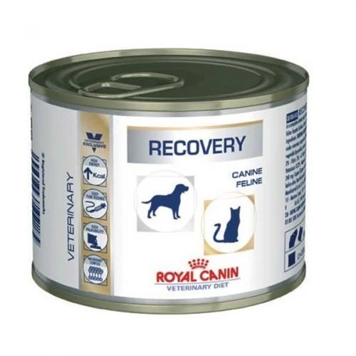 Royal Canin Recovery Canine/feline 2 Royal Canin Recovery Canine/feline – Image 2