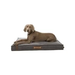 Trixie Coussin Be Nordic Taupe 100 X 70 Cm