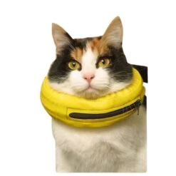 Collier Lune -Chien Fournitures Boutique 86eaa3c4e19da65cd3ccf16b9b644242d1ea36ae29fd6c84734ea4df7c7f1d52 1