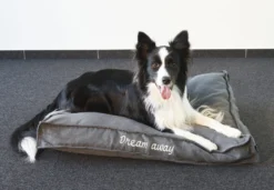 Flamingo Coussin Dream Away Rectangulaire+rebord+fermeture Eclair Gris 80x60x10cm -Chien Fournitures Boutique 8b20af957cd0e9159fdaec088098026b839b1c665fc0ece7ca837051d3f8cebf scaled