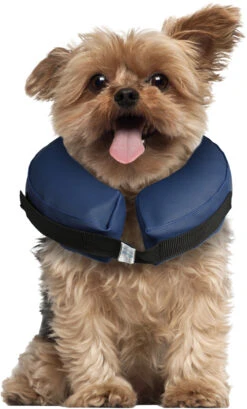 Flamingo Collier Gonflable Pour Chiens Gofi Xs -Chien Fournitures Boutique 91c7e2540c51d376ee330bcd170be2dab27a83c045c0d7076ffa4ded7c6dc45c