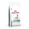 Royal Canin Diabetic Chien