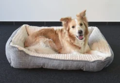 Flamingo Panier Pour Chien Zupo Rectangulaire Gris 90x65x25cm -Chien Fournitures Boutique 99b8da2ca52e00418c6ee1afd6b8fb3f19b4e81818d430d62e4894bfcde106db scaled