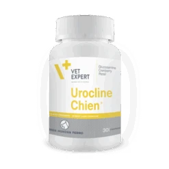 UROCLINE Chien