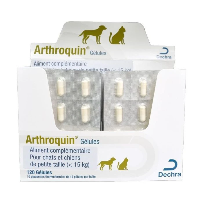 DECHRA Arthroquin Chat Et Petit Chien 24 Gélules 1 DECHRA Arthroquin Chat Et Petit Chien 24 Gélules