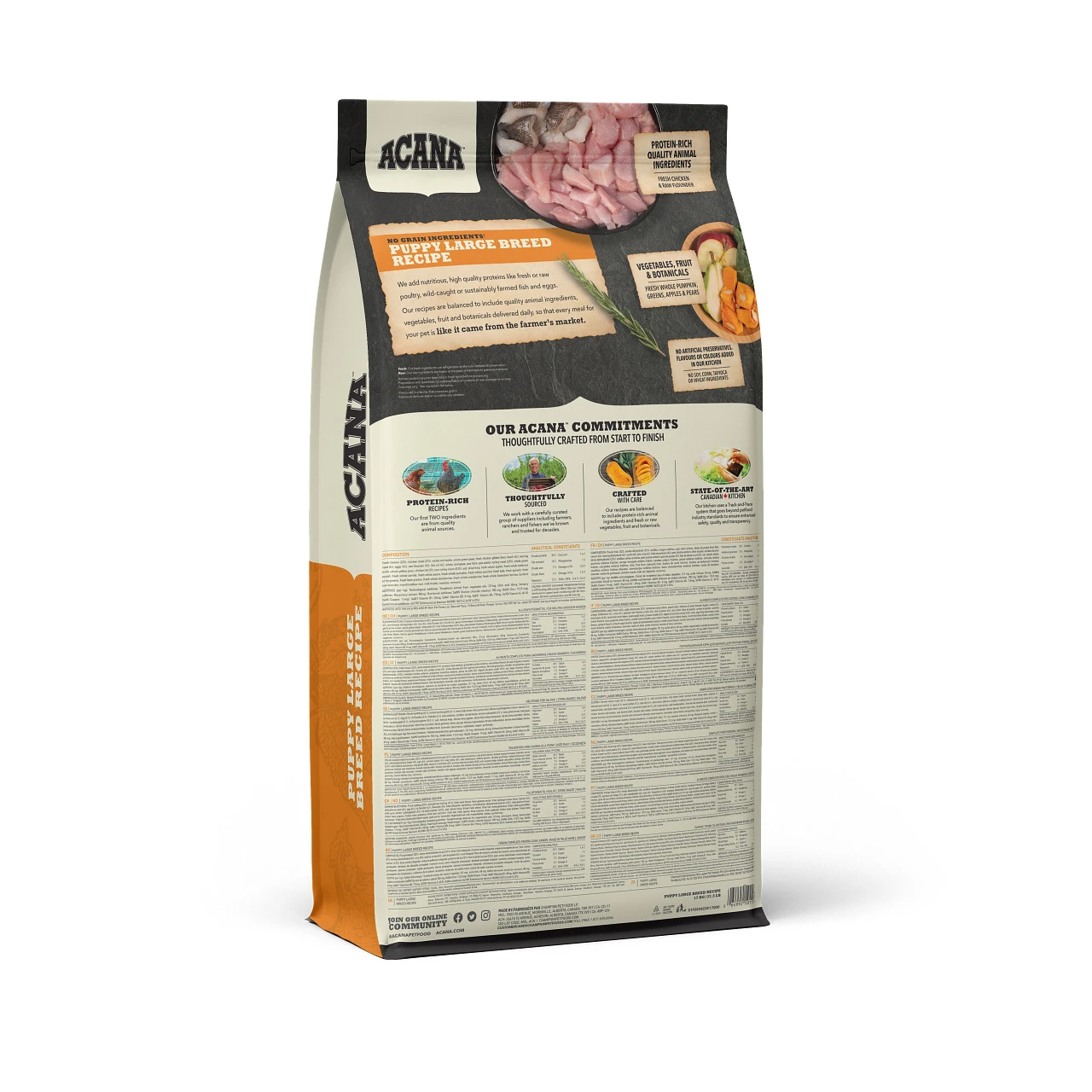 Acana Puppy Large Breed Chien 2 Acana Puppy Large Breed Chien – Image 2